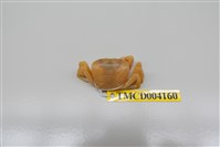 藏品(黃綠澤蟹)的圖片